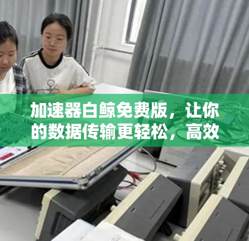 加速器白鲸免费版，让你的数据传输更轻松，高效又可靠！