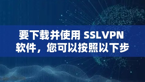 要下载并使用 SSLVPN 软件，您可以按照以下步骤进行