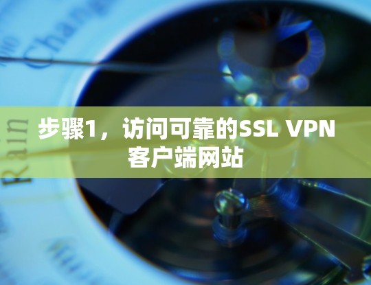 步骤1，访问可靠的SSL VPN客户端网站