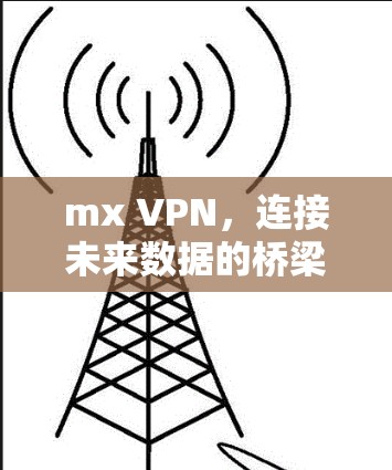 mx VPN,连接未来数据的桥梁 mx VPN,连接未来数据的桥梁