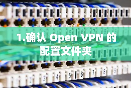 1.确认 Open VPN 的配置文件夹