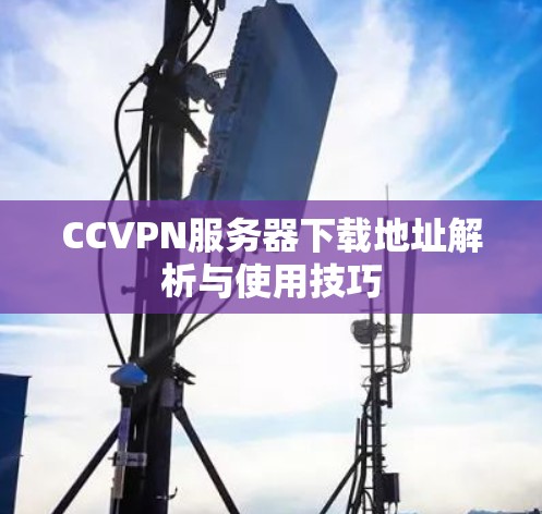 CCVPN服务器下载地址解析与使用技巧