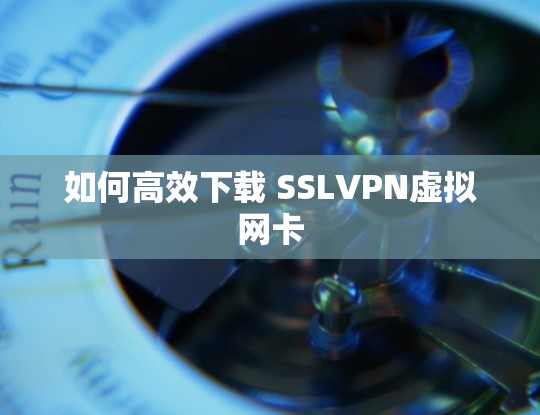 如何高效下载 SSLVPN虚拟网卡