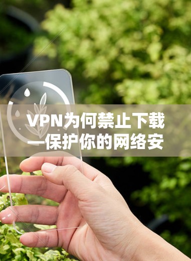 VPN为何禁止下载—保护你的网络安全