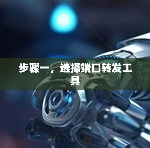 步骤一，选择端口转发工具