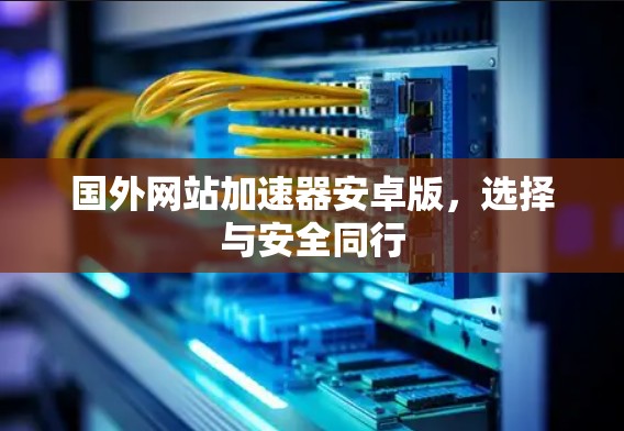 国外网站加速器安卓版，选择与安全同行