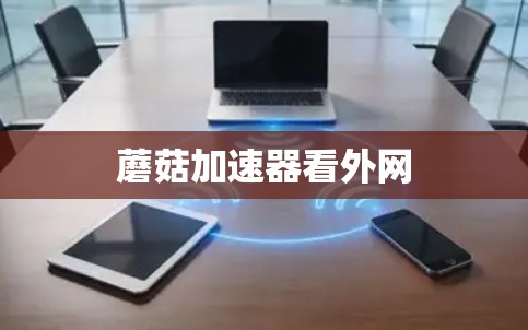 蘑菇加速器看外网