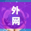 外网加速器全网多节点，通常指的是一个加速器能够同时连接或管理多个外网设备。这种设计通常用于支持同时访问多个不同端网（如移动端网、固定端网、Wi-Fi端网等）的需求
