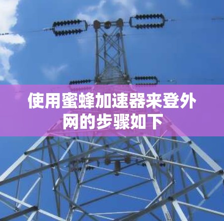 使用蜜蜂加速器来登外网的步骤如下