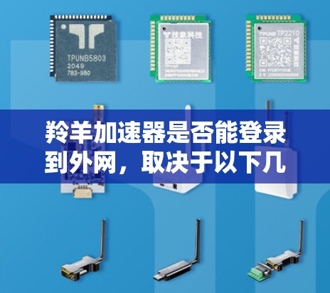 羚羊加速器是否能登录到外网，取决于以下几个方面
