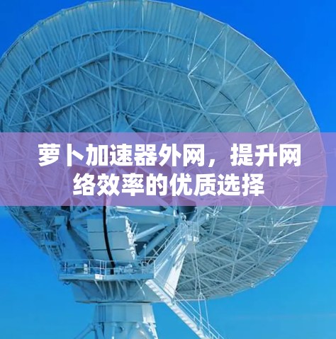 萝卜加速器外网，提升网络效率的优质选择