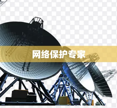 网络保护专家
