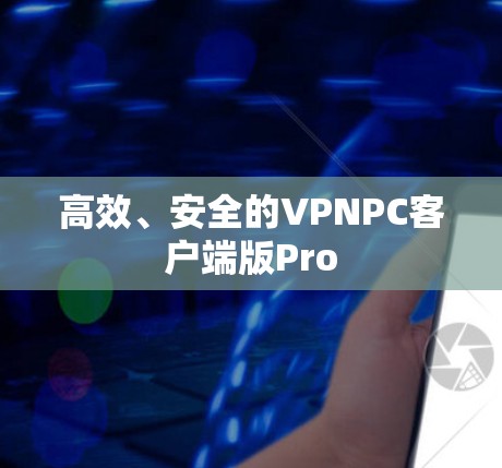 高效、安全的VPNPC客户端版Pro 高效、安全的VPNPC客户端版Pro