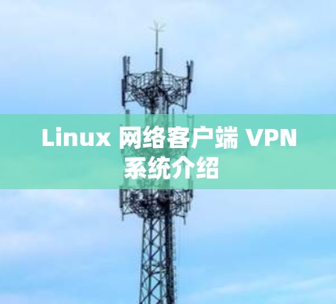 Linux 网络客户端 VPN 系统介绍