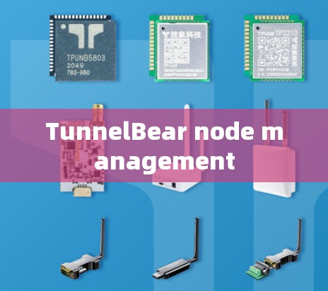 TunnelBear node management