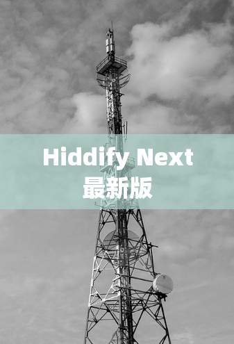 Hiddify Next最新版