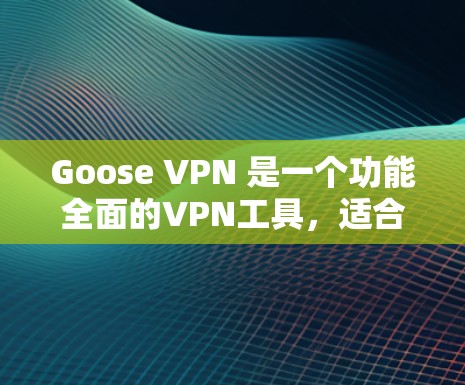 Goose VPN 是一个功能全面的VPN工具，适合多种使用场景。以下是对它的评测总结