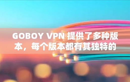 GOBOY VPN 提供了多种版本，每个版本都有其独特的稳定性和功能特点。如果你正在寻找一个稳定的 VPN 服务，可以选择以下版本