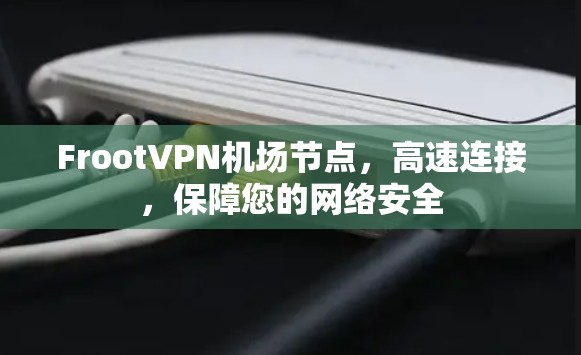 FrootVPN机场节点，高速连接，保障您的网络安全