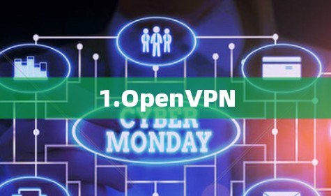 1.OpenVPN 1.OpenVPN