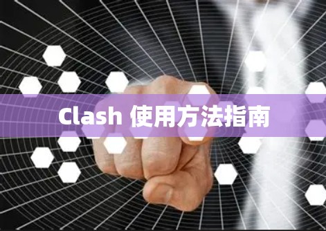 Clash 使用方法指南