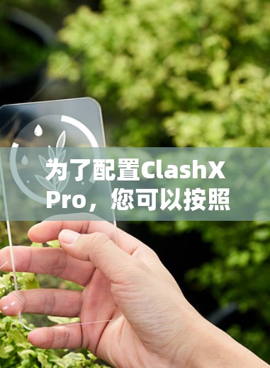 为了配置ClashX Pro，您可以按照以下步骤进行