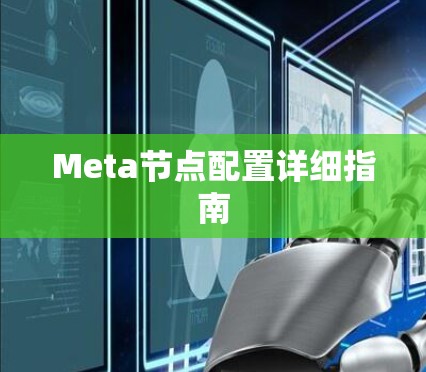 Meta节点配置详细指南