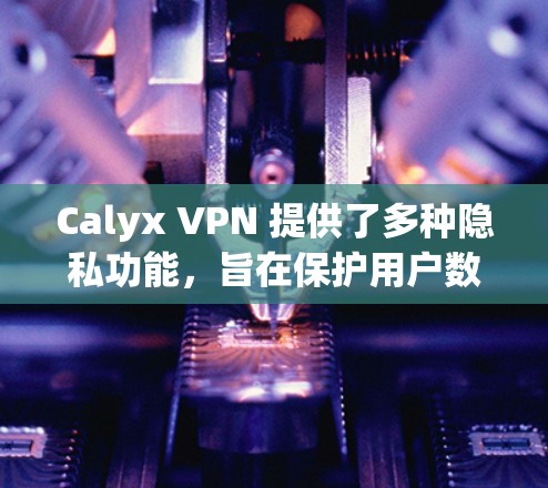 Calyx VPN 提供了多种隐私功能，旨在保护用户数据的安全和隐私。以下是其主要的隐私功能