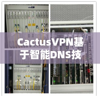 CactusVPN基于智能DNS技术，提供以下详细功能