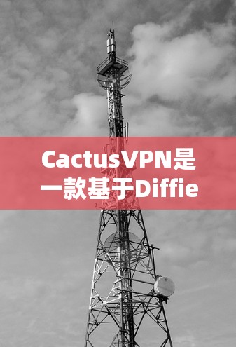 CactusVPN是一款基于Diffie-Hellman协议的椭圆曲线加密软件，旨在提供安全的网络通信。以下是其基本使用指南