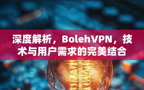 深度解析，BolehVPN，技术与用户需求的完美结合