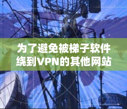 为了避免被梯子软件绕到VPN的其他网站，可以采取以下步骤