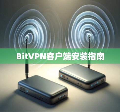 BitVPN客户端安装指南