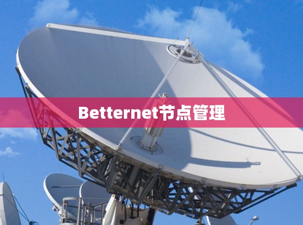 Betternet节点管理