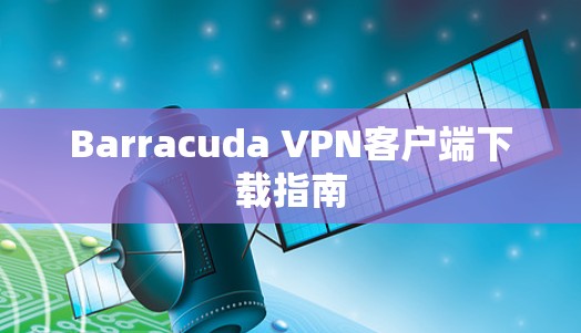 Barracuda VPN客户端下载指南