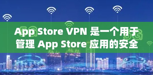 App Store VPN 是一个用于管理 App Store 应用的安全性工具，通过限制访问和保护用户和用户的设备免受恶意软件威胁。以下是详细的步骤和使用方法
