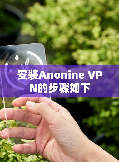 安装Anonine VPN的步骤如下