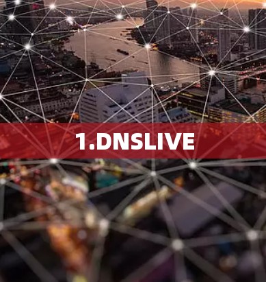 1.DNSLIVE