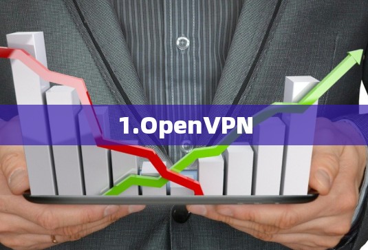1.OpenVPN