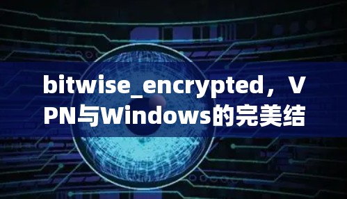 bitwise_encrypted，VPN与Windows的完美结合
