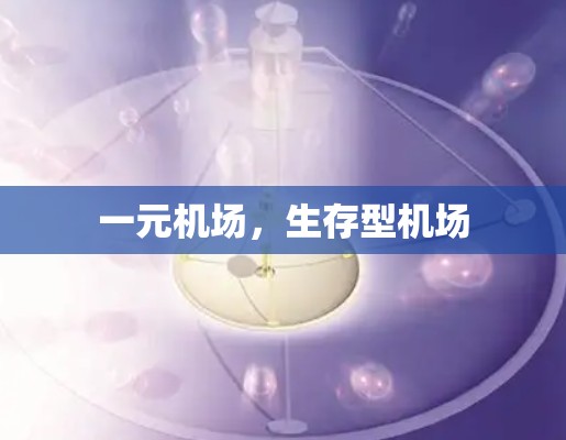 一元机场,生存型机场 一元机场,生存型机场